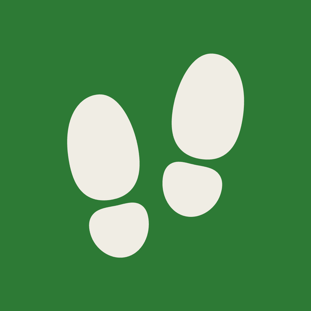 Stepa app icon